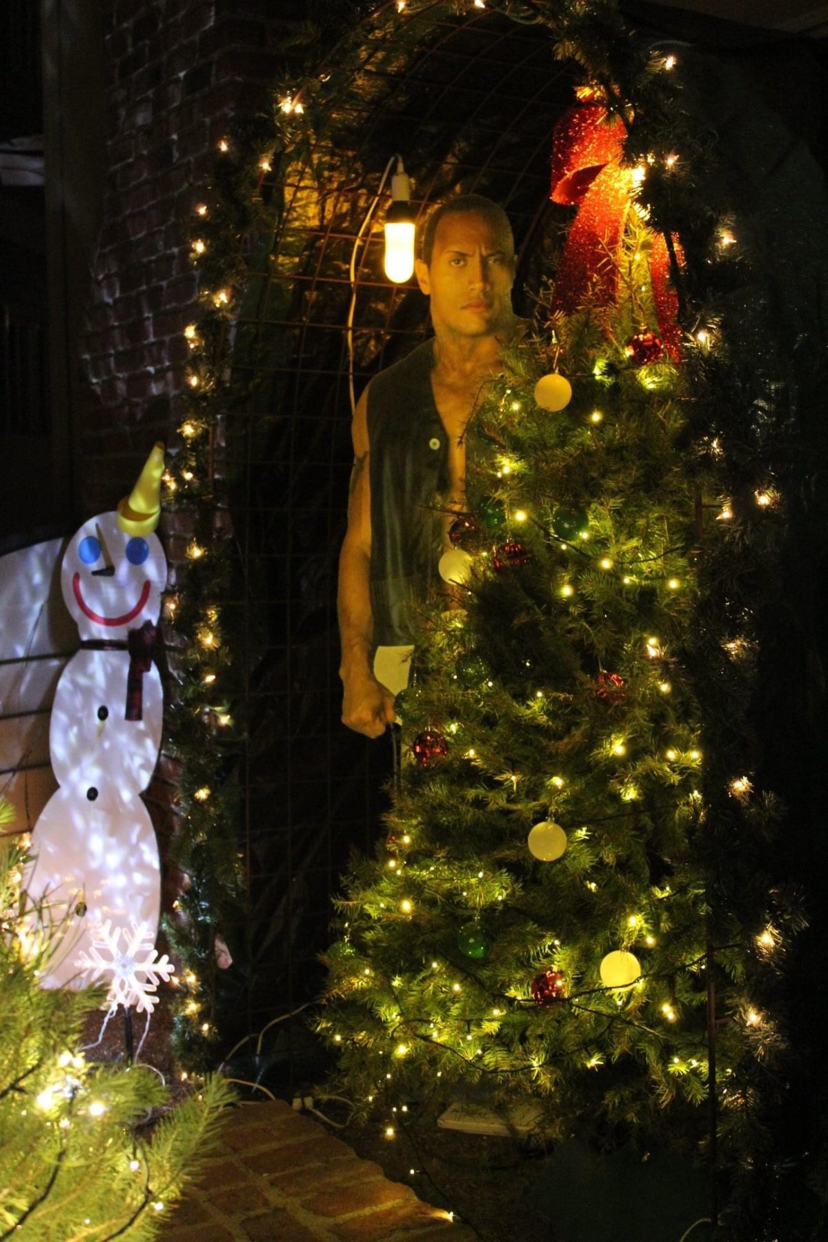 Everything you Need to Know About Viewing Christmas Lights on Balboa